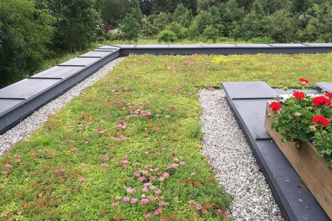 Dach odwrócony - tzw. zielony. fot. Tomasz Rybarczyk Dach odwrócony - tzw. zielony. fot. Tomasz Rybarczyk